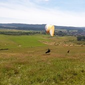 Mieroszów - Paraglidnig Fly, Marcin dzisiaj dzisiaj testuje jak nisko można ...