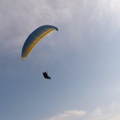 Grzmiąca Paraglideing Fly, Marek