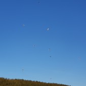 Mieroszów Paragliding Fly, Epicki mocny żagiel na  Mieroszowie